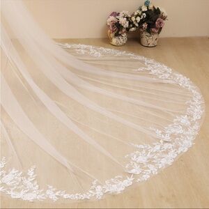 Ivory chapel length embroidered  veil